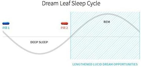 Dream Leaf Pro - Premium Lucid Dreaming Supplement - 60 CapsulesValerian Root Mugwort Alpha GPC Choline Bitartrate Huperzine-a