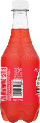 Jarritos Mandarin Soda Plastic Bottle 16.9-Ounce (Pack of 24)