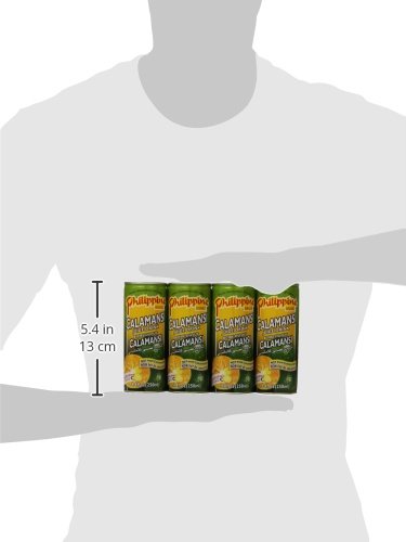 Philippine Juice Drink Calamans 8.4-Ounce (Pack of 12)