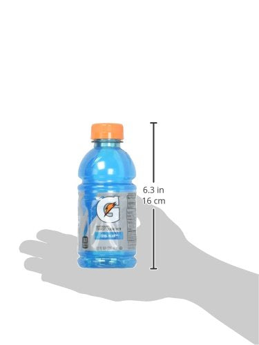 Gatorade Thirst Quencher Fruit Punch and Cool Blue Variety Pack 12 Ounce (Pack of 24)