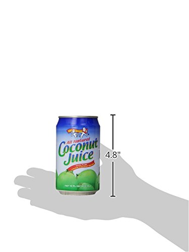Amy &amp Brian Coconut Water Original 10 Fl Oz (Pack of 24)