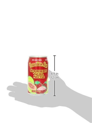Hawaiian Sun Nectar Strawberry-Guava 11.5-Ounce (Pack of 24)