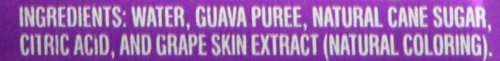 Hawaiian Sun Nectar Guava 11.5 Fl Oz (Pack of 24)