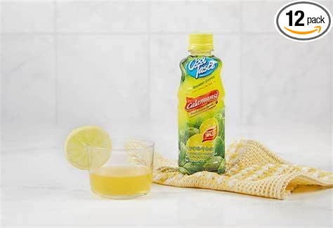 Cool Taste Calamansi PET Fruit Juice Drink Philippine Lemon Pack of 12 355ml