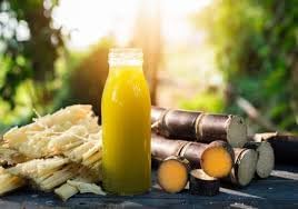 Nimbu Pani Powder &amp Sugarcane Juice Powder Combo PackInstant Mix Energy DrinkRich in VitaminsHealthy Drink Ready to Serve200gm