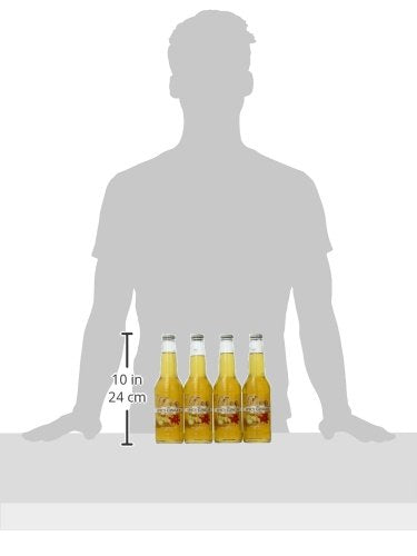 WBC/Goose Island Craft Soda Spicy Ginger 12 Ounce (Pack of 4)
