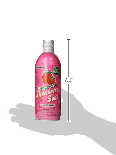Sangaria Strawberry Soda 16.2 Ounce (Pack of 24)