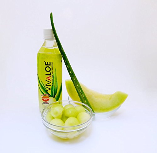 Vivaloe Honeydew Flavor Aloe Beverage All Natural Aloe Vera Juice 16.9 fl. oz./500 ml 12 Count