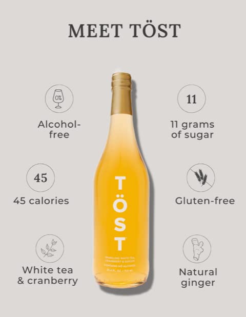 TÖST All-Natural Alcohol Free Sparkling Beverage 25.4 Fl Oz (Pack of 3)