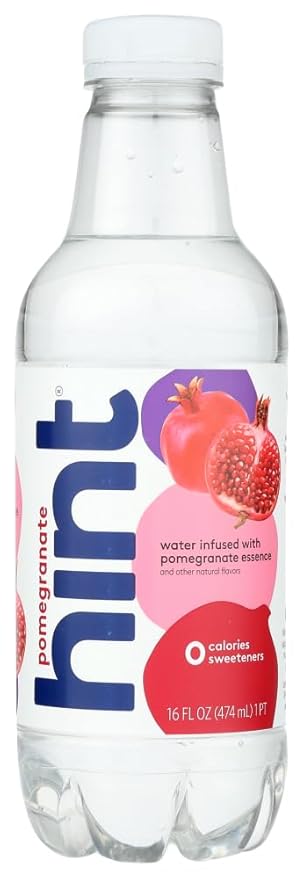 Hint Fizz Raspberry Lime 16 Fl Oz