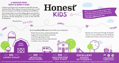 Honest Kids Goodness Grapeness Grape Fruit Juice 6.75 Fl Oz (pack of 8)