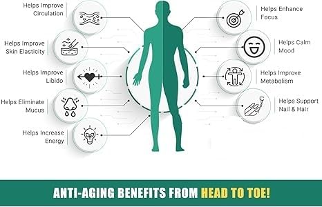 Ancient Bliss Organic Irish Sea Moss Pills - Dr Sebi Wildcrafted Seamoss Capsules | Thyroid Healthy Skin &amp Gut Support | 120 Capsules