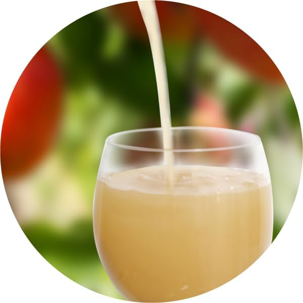 100% Japanese Apple Straight Juice 1000ml (Pack of 2 Glass Bottles) JA Aoren Aomori Shizuku of Hope No Sugar Added No Preservatives Apple Juice from Aomori Prefecture MADE IN JAPAN