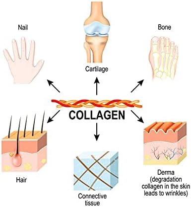 Collagen Fantastic Grass Fed Collagen Peptides Plus Grass Fed Unflavored Whey Fantastic 2.2lb Each