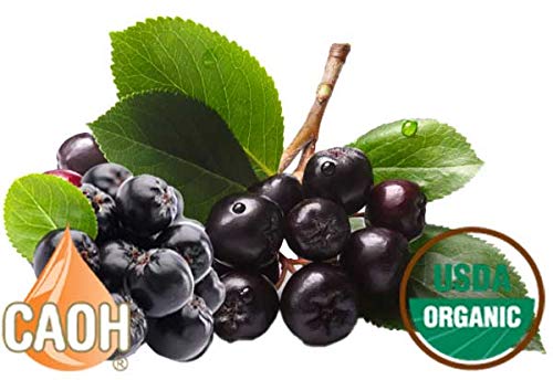 Black Aronia Berry ChokeBerry Aronia melanocarpa juice 8:1 concentrate 8 oz Organic from CAOH