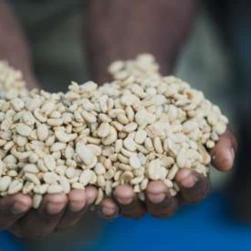 Papua New Guinea Single Origin Arabica Coffee Medium Roast Ground 2lbs 1-Pack