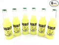Dublin Sodas 12 Oz Bottles (Pack of 6) (Dublin Tart N Sweet Lemonade) by Dublin Bottling Works