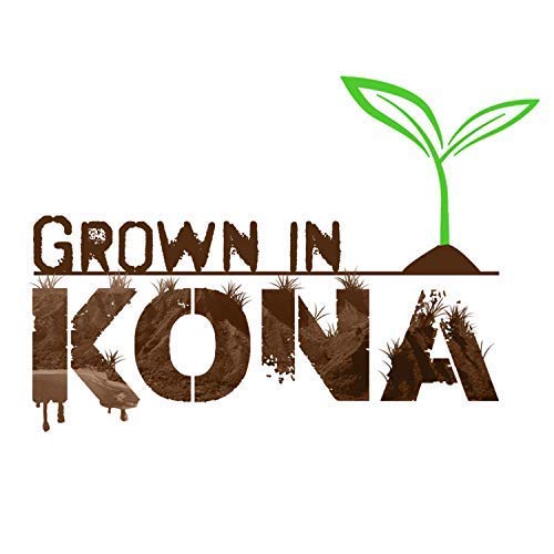 Hula Girl 100% Kona Coffee Grown in Hawaii Hand Picked Sun Dried Fresh Roasted and Packed in Hawaii for 30 years Whole Bean 7 Oz (0.44 Lb) 198 Grams Bag