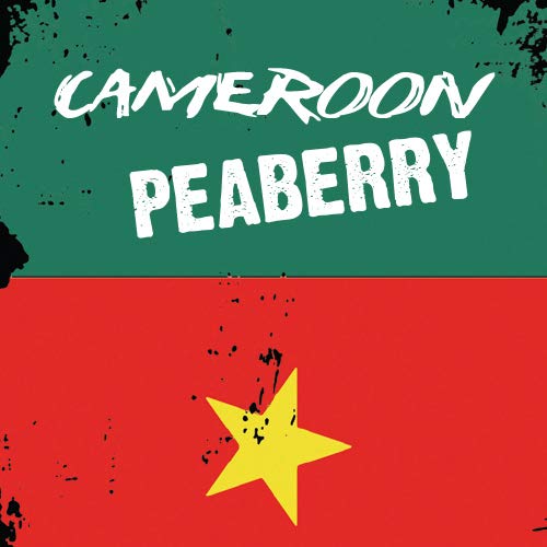Aroma Ridge Cameroon Boyo Peaberry Coffee Freshly Roasted in USA Whole Bean 16oz