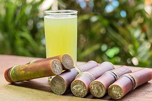 Yeshvi NATURAL Aam Panna Powder &amp Sugarcane Juice Powder With Spicy Guava Powder Instant Drink Mix Powder Drink Fruit Juice Powder Make and Juice 300gm
