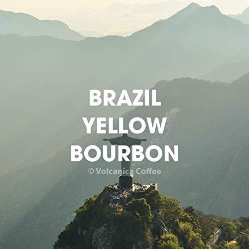 Brazil Yellow Bourbon Coffee Ground Fresh Roasted 5 lbs