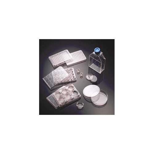 Collagen FLASKS T-75 COLL.IV COATD CS10