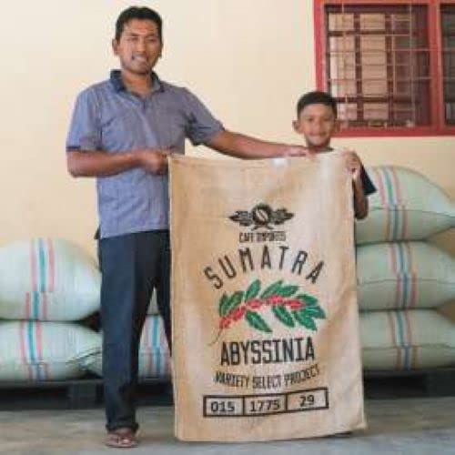 Sumatra Single Origin | Organic | Dark Roast | Whole Bean Coffee | 12oz 1-Pack