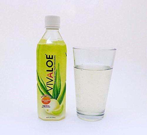 Vivaloe Honeydew Flavor Aloe Beverage All Natural Aloe Vera Juice 16.9 fl. oz./500 ml 12 Count
