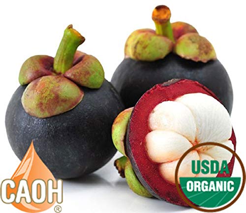 Absolute Mangosteen - Pure Organic Mangosteen Juice from CAOH® (1-32 oz Bottle)