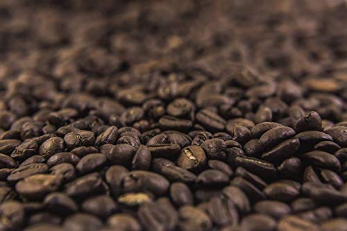 Ramblin' Joe's Coffee Light Roast | 2-12oz Ground Coffee packs (First Note Ground Coffee)