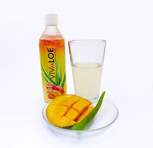 VIVALOE Mango Aloe 16.9fl oz (12 Pack)
