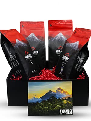 Flavored Decaf Coffee Gift Box Ground Fresh Roasted 4 X 16-ounces Caramel Chocolate French Vanilla Hazelnut and Pumpkin Spice