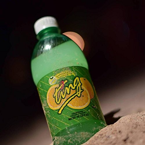 Ting Lightly Carbonated Soda 20 Oz (Pack of 24)