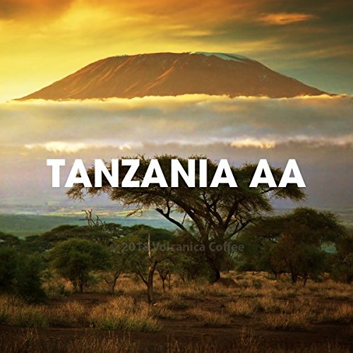 Tanzania AA Coffee Mount Kilimanjaro Ground Fresh Roasted 16-ounce