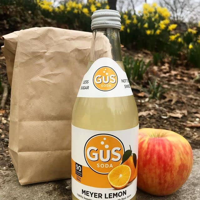 GuS Grown-Up Soda | Lightly Sweetened Sodas with Real Juices | 12 Fl Oz (Pack of 24) (Dry Meyer Lemon)