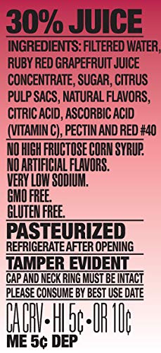 Langer's Ruby Red Grapefruit Juice Cocktail 10 Fl Oz (Pack of 12)