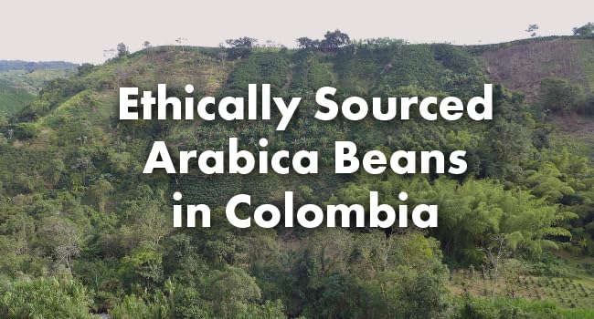 Café Grumpy Colombia Medium Roast Coffee Organic Single Origin French Press Grind Premium Fine Grind for Pour Over &amp Cold Brew Espresso 12oz