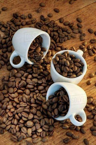 Ultimate Chocolate Ground Coffee Collection – Mocha Cocoa &amp Candy-Inspired Flavors – Gourmet Flavored Coffee Assortment – 32 oz Total