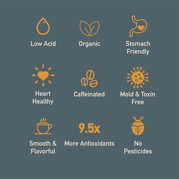 Healthy Bean Organic Low Acid Coffee Ground - USDA Organic Mold-Free Superfood Infused Clean and Healthy - Low Acid for Sensitive Stomachs - Semi-Dark Roast Ground Coffee 10oz (6-Pack)