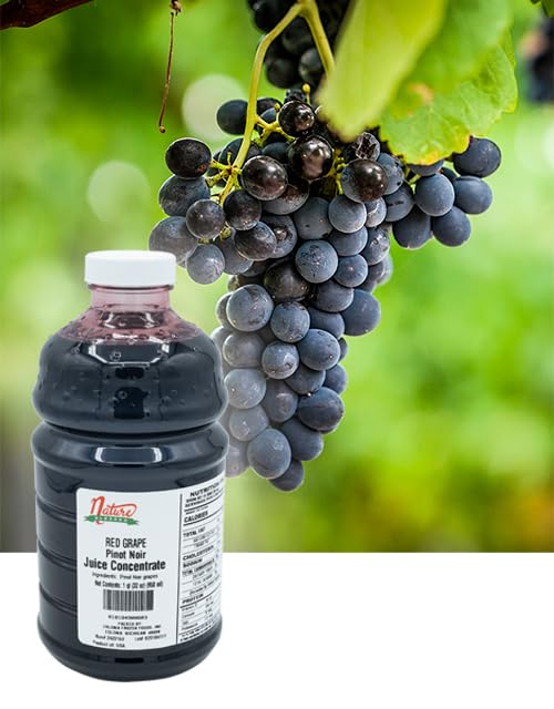 Nature Blessed 100% Pure Pinot Noir Red Grape Fruit Juice Concentrate - 2- Quarts (2/32 fl oz. bottles) Ideal for Home Vintners or Brewers Wine Enthusiasts