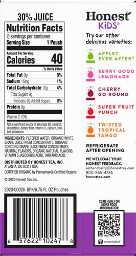 Honest Kids Goodness Grapeness Grape Fruit Juice 6.75 Fl Oz (pack of 8)