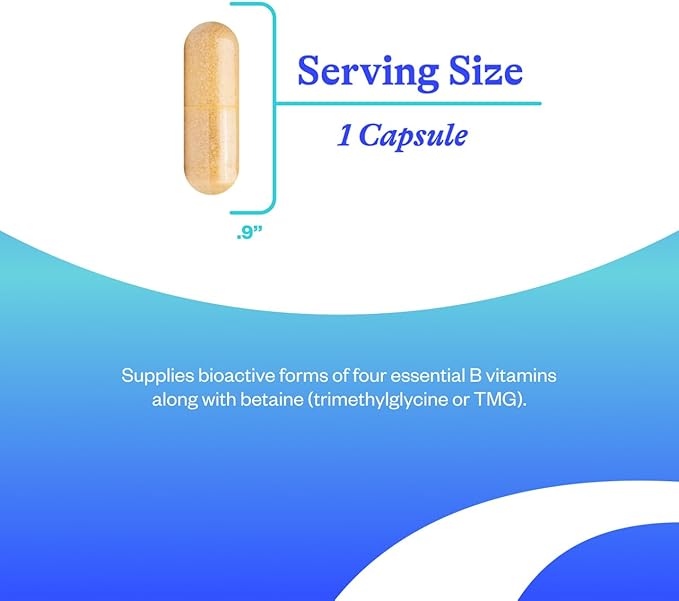Seeking Health Homocysteine Nutrients - Supplement Formula with L-Methylfolate &amp Vitamin B12 B6 &amp B2 - Supports Healthy Cognition &amp Brain Function - Aids Homocysteine Metabolism - 60 Caps