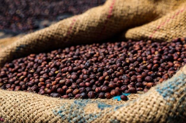Half Caff Blend Swiss Water | Organic | 100% Arabica | Medium Roast | California Fresh Roasted |12oz 1-Pack Whole Bean