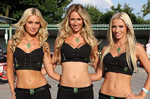 Monster Energy Ultra Fiesta &amp Ultra Rosa 16 ounce cans (Ultra Rosa 6 Cans)