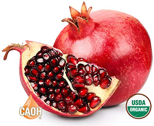 Absolute Pomegranate Juice 5:1 Concentrate Organic 16 oz from CAOH