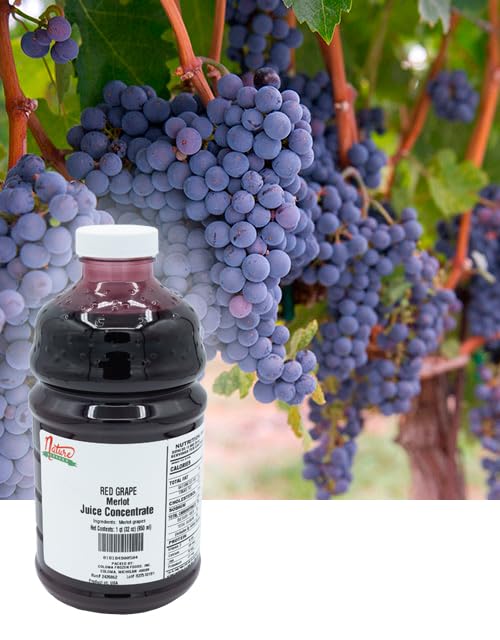 Nature Blessed 100% Pure Merlot Red Grape Fruit Juice Concentrate - 4 Quarts (4/2 fl oz bottles) Excellent for Home Brewers or Vintners Spirits Smoothies