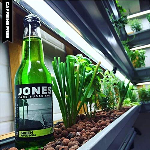 Jones Soda 12 ounce Glass Bottles (Green Apple 12 Bottles)