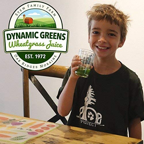 100% Wheatgrass Juice – Field-Grown Flash-Frozen Unpasteurized – 50 fl oz (100 x 0.5 fl oz Portions) – Dynamic Greens
