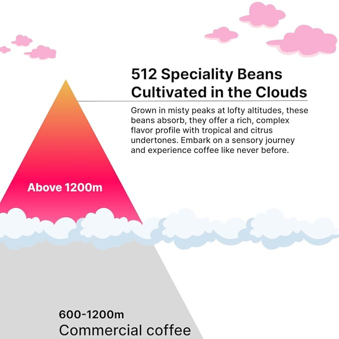 512 COFFEE | Light Roast Coffee Whole Bean - QGS 87.75 | Specialty Fresh Roasted Single Origin Ethiopian Sidamo Coffee | Natural Flavored Notes of Blueberry Chocolate Juicy