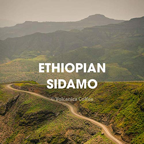 Ethiopian Coffee Sidamo Ground Medium Roast Fair Trade Fresh Roasted 5 lbs